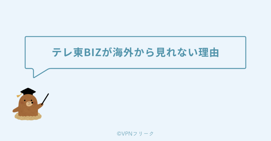 テレ東BIZが海外から見れない理由は「ジオブロック」