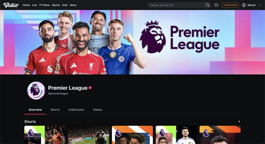 ルート①:Vidio+VPN(最安/月~1,650円)