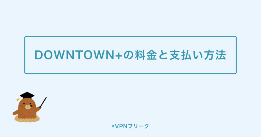 DOWNTOWN+の料金と支払い方法【海外から契約する注意点】