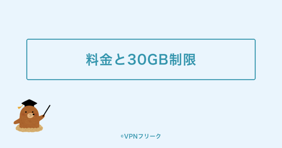 ahamo海外ローミングの料金と30GB制限