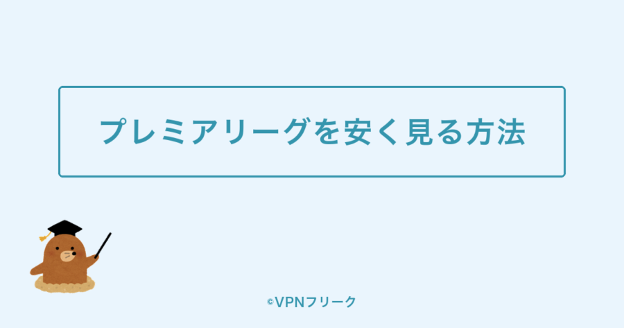プレミアリーグを安く見る方法